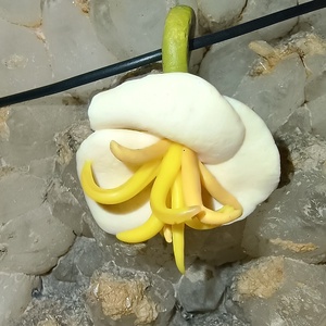 Floare alba, Bijuterii, Coliere, Pandative, , ARTYNOS