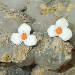 Flori albe, Bijuterii, Cercei, Cercei din rasina, , Cercei din Fimo cu tije de otel inoxidabil sau silicon.1.5 cm, ARTYNOS