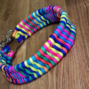 Zgardă câine paracord trilobite � multicolor (testată pe câini activi) - casă & stil de viață - accesorii pentru animale  - echipamente pentru câini - zgardă pentru câini - Artynos.ro