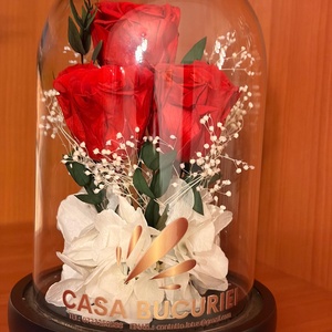 Aranjament Manual 3 Trandafiri Criogenați Roșii - casă & stil de viață - decorațiuni de casă - accesorii florale - flori în ghiveci - Artynos.ro