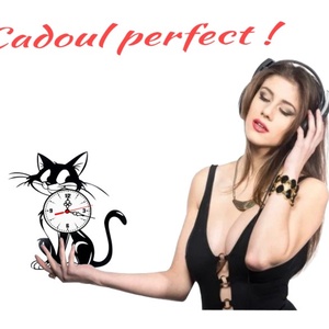 Ceas de perete decorativ realizat din disc de vinil, Model Pisica Neagra Cadran Alb Animal Companie, Negru, 30 cm - casă & stil de viață - decorațiuni de casă - decorațiuni de pereți - ceasuri de perete - Artynos.ro