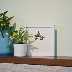Iarba-Sângelui (Geranium robertianum) - casă & stil de viață - accesorii pentru decorat casa - decorațiuni de masă și decorațiuni pentru rafturi  - decorațiuni de masă - Artynos.ro