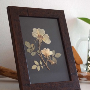 Trandafir salbatic, Casa & Stil de viata, Accesorii pentru decorat casa, Decoratiuni de pereti, decoratiuni suspendate, Decoratiuni perete, macramé, Aranjament de flori, ARTYNOS