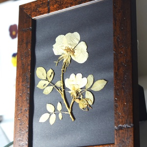 Trandafir salbatic - casă & stil de viață - accesorii pentru decorat casa - decorațiuni de pereți, decorațiuni suspendate - decorațiuni perete, macramé - Artynos.ro