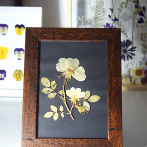 Trandafir salbatic - casă & stil de viață - accesorii pentru decorat casa - decorațiuni de pereți, decorațiuni suspendate - decorațiuni perete, macramé - Artynos.ro