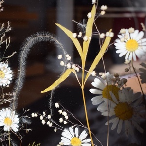 Trandafir salbatic - casă & stil de viață - decorațiuni de casă - decorațiuni de masă și rafturi - decorațiuni de masă - Artynos.ro