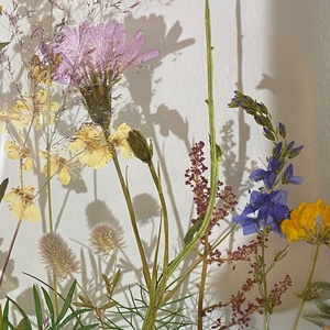 Flori sălbatice - casă & stil de viață - decorațiuni de casă - decorațiuni de masă și rafturi - decorațiuni de masă - Artynos.ro