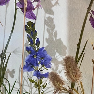 Flori sălbatice - casă & stil de viață - decorațiuni de casă - decorațiuni de masă și rafturi - decorațiuni de masă - Artynos.ro