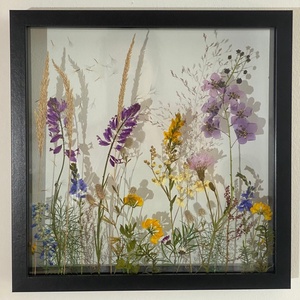 Flori salbatice - Artynos.ro