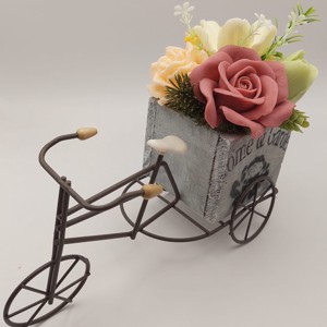 Soap blossoms pe o bicicletă 2 -  - Artynos.ro