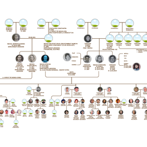 Arbore genealogic - cadou cununie, nunta, aniversare parinti, bunici, strabunici - Artynos.ro