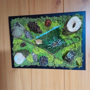 Tablou cu licheni stabilizati, Casa & Stil de viata, Accesorii pentru decorat casa, Decoratiuni de pereti, decoratiuni suspendate, Decoratiuni cu licheni, , ARTYNOS