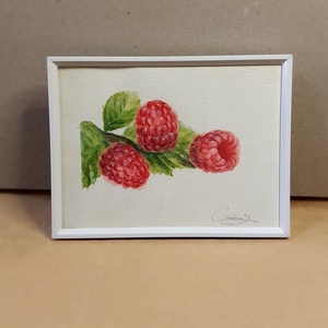 Pictură zmeură  - arte vizuale și accesorii  - picturi - acuarele picturi - Artynos.ro