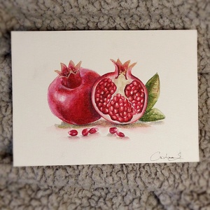 Pictură rodie  - arte vizuale și accesorii  - picturi - acuarele picturi - Artynos.ro