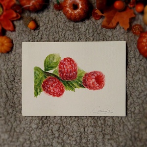 Ilustratie zmeura - arte vizuale și accesorii  - grafică, ilustrație - alte desene - Artynos.ro