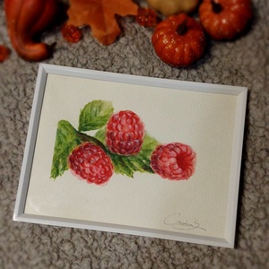 Ilustratie zmeura - arte vizuale și accesorii  - grafică, ilustrație - alte desene - Artynos.ro