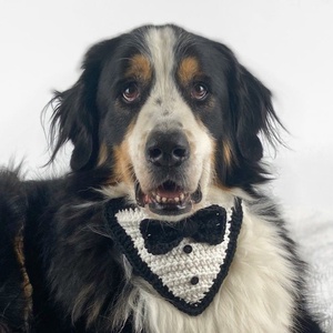 Bandana crosetata  Handsome Boy  - casă & stil de viață - accesorii pentru animale  - paturi și echipamente câini - colier de câine, set de lesă - Artynos.ro