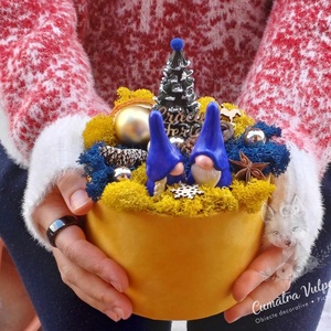 Decoratiune de iarna cu licheni -  cu doi gnomi si bradut in cutie de catifea - Artynos.ro