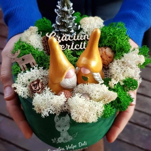 Decoratiune de iarna cu licheni -  cu doi gnomi si bradut in cutie de catifea - Artynos.ro
