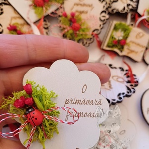 Martisor - tip brosa - cu licheni si flori criogenate, Bijuterii, Martisor, Aranjament de flori, ARTYNOS