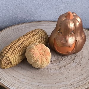 Pachet de decorare de toamna din ipsos pictat, , , ARTYNOS