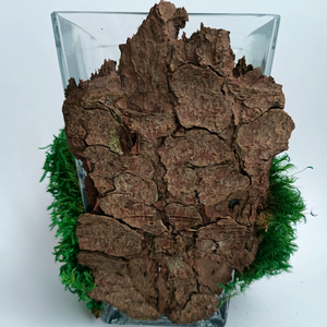 Vază pentru flori decorată  - casă & stil de viață - decorațiuni de casă - decorațiuni de masă și rafturi - sticle ornamentale - Artynos.ro