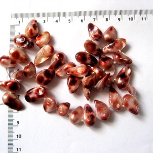 Sirag perle naturale neregulate 51819, Accessorii si unelte, Margea, componente de bijuterii, Perla adevarata, Confectionarea bijuteriilor, ARTYNOS