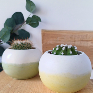 Vas - Ghiveci Bubble Color Block din beton, Casa & Stil de viata, Accesorii pentru decorat casa, Suport de flori, Ghiveci si jardiniere, Altele, ARTYNOS