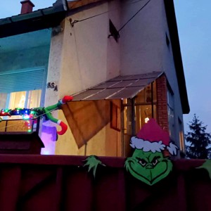 Grinch în poartă -  - Artynos.ro