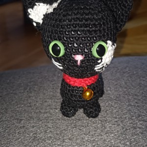 Pisoi negru cu pete albe, , , ARTYNOS