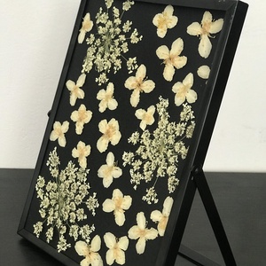 Tablou cu flori de iasomie presată  - casă & stil de viață - accesorii pentru decorat casa - decorațiuni de masă și decorațiuni pentru rafturi  - florării și grădini de sticle - Artynos.ro