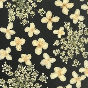 Tablou cu flori de iasomie presată  - casă & stil de viață - accesorii pentru decorat casa - decorațiuni de masă și decorațiuni pentru rafturi  - florării și grădini de sticle - Artynos.ro