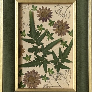 Tablou Botanic cu Flori Presate și Ramă din Catifea � Ediție Handmade 15x20 cm - casă & stil de viață - decorațiuni de casă - decorațiuni de masă și rafturi - suport de carte - Artynos.ro