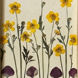 Tablou Botanic cu Flori Presate, Ramă Catifea Verde, 18x23 cm - casă & stil de viață - decorațiuni de casă - accesorii florale - buchete de flori - Artynos.ro