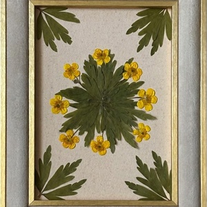 Tablou Botanic cu Flori Presate și Ramă din Catifea � Ediție Handmade 15x20 cm - casă & stil de viață - decorațiuni de casă - accesorii florale - buchete de flori - Artynos.ro