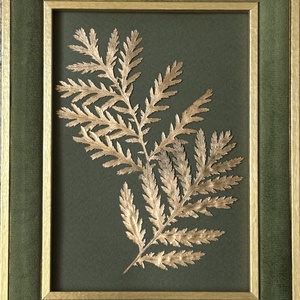 Tablou Botanic Gold Leaf - Ramă Catifea Verde - 18x23 cm - casă & stil de viață - decorațiuni de casă - accesorii florale - buchete de flori - Artynos.ro