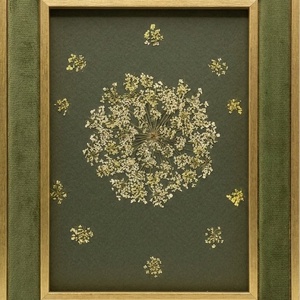 Tablou Botanic  - Colaj Flori Presate, Ramă Catifea Verde, 18x23 cm - casă & stil de viață - decorațiuni de casă - accesorii florale - buchete de flori - Artynos.ro