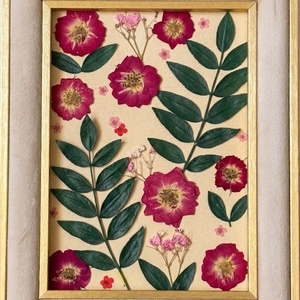 Tablou botanic handmade, flori presate, rama catifea 18x23 cm - casă & stil de viață - decorațiuni de casă - accesorii florale - buchete de flori - Artynos.ro