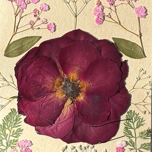 Tablou Botanic Handmade � Compoziție cu Trandafir Burgundy și Flori Presate - casă & stil de viață - decorațiuni de casă - accesorii florale - buchete de flori - Artynos.ro