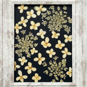 Tablou Botanic Contrast Floral � Flori Presate Manual - casă & stil de viață - decorațiuni de casă - accesorii florale - buchete de flori - Artynos.ro