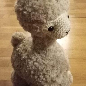 Alpaca -  - Artynos.ro