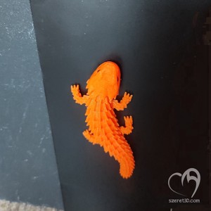 Magnet de frigider cu animale mobile - Versiuni multiple -  - Artynos.ro