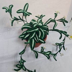planta decorativa  - accesorii de crăciun - decorațiuni de crăciun de casă - decorațiuni pentru casă de crăciun - Artynos.ro