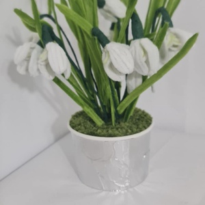 Ghiocei de padure - Artynos.ro