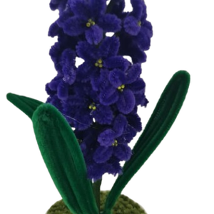 zambila , Casa & Stil de viata, Decoratiuni de casa, Accesorii florale, Flori in ghiveci, Aranjament de flori, ARTYNOS