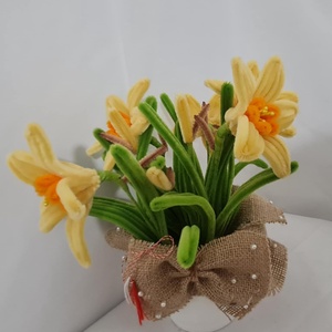 narcise galbena - Artynos.ro