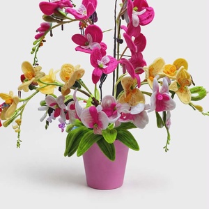 orhidee , Casa & Stil de viata, Decoratiuni de casa, Accesorii florale, Buchete de flori, Aranjament de flori, ARTYNOS