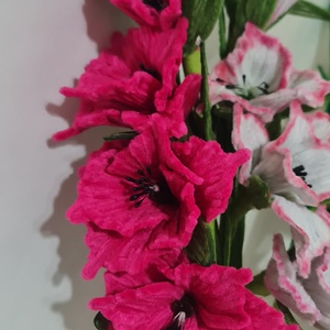gladiole toate culorile - Artynos.ro