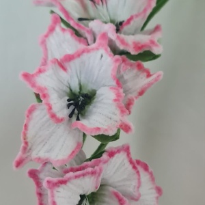 gladiole toate culorile - casă & stil de viață - decorațiuni de casă - accesorii florale - flori la fir - Artynos.ro