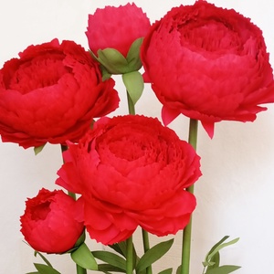 Bujori giganti din hartie floristica - Artynos.ro